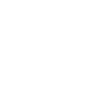 erkus_logo_white